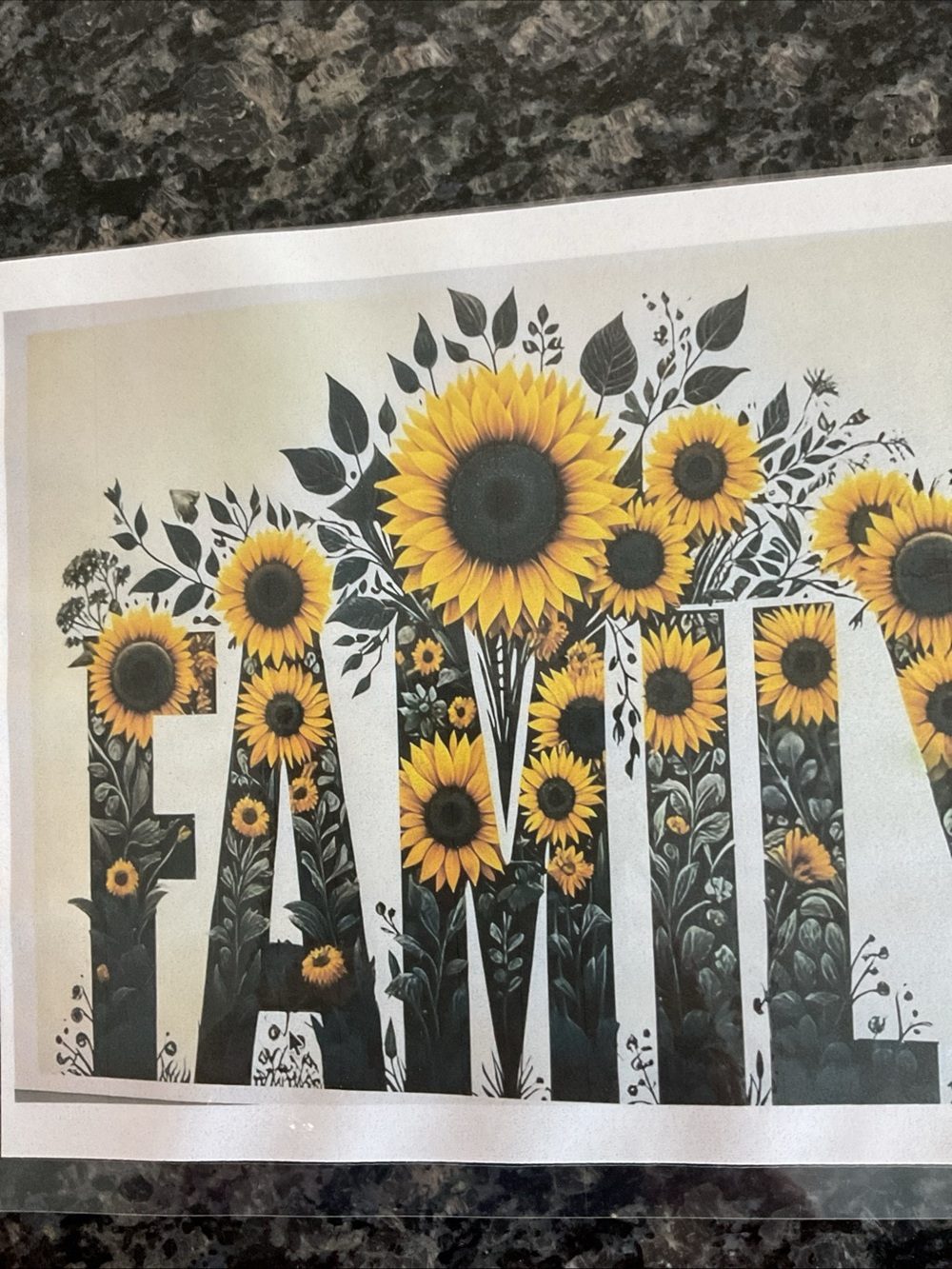 6 (six) ) 5D Diamond Painting Kits for Adults Family Sunflower DIY
